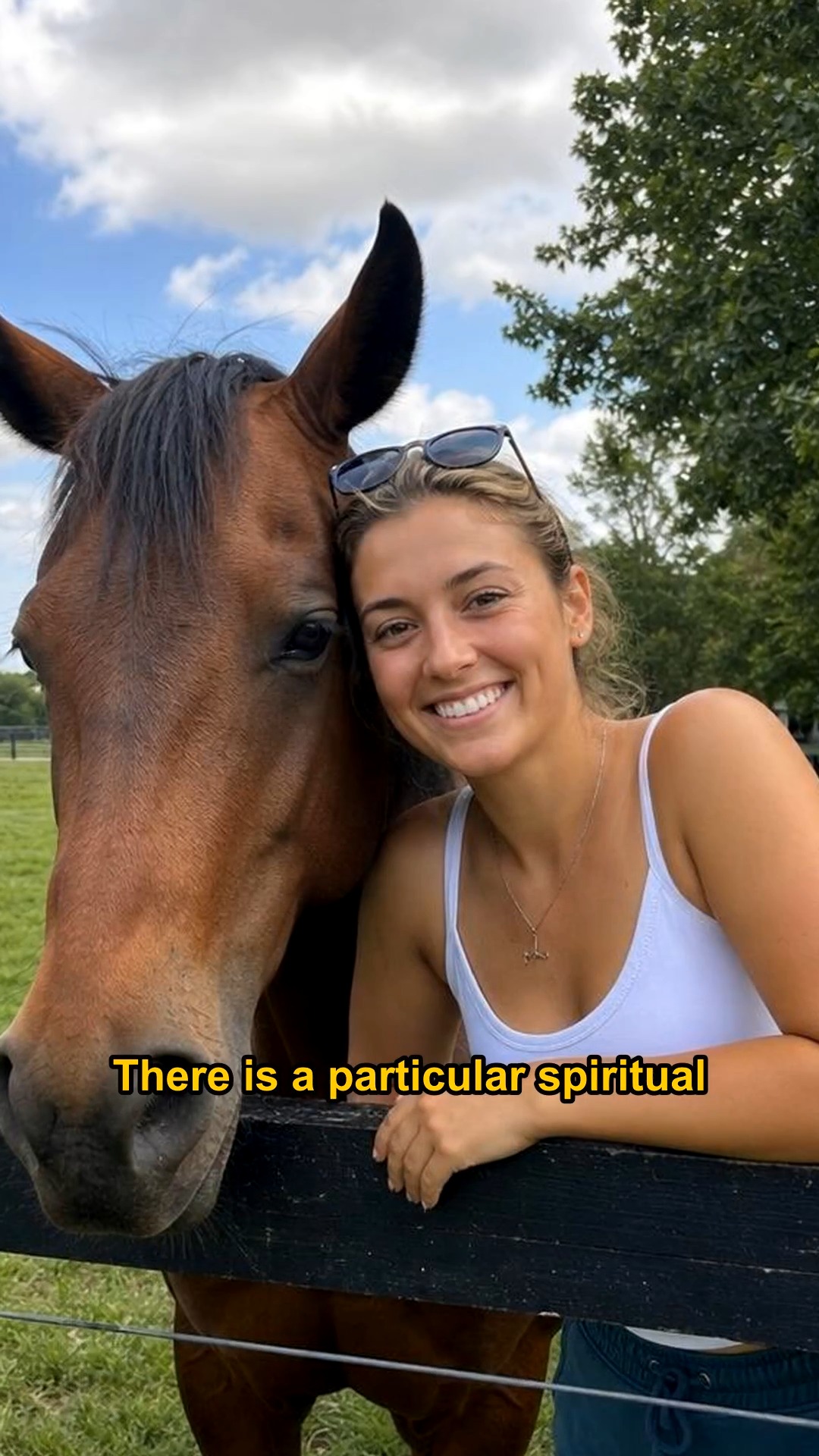 Anúncio de The Stables Horse