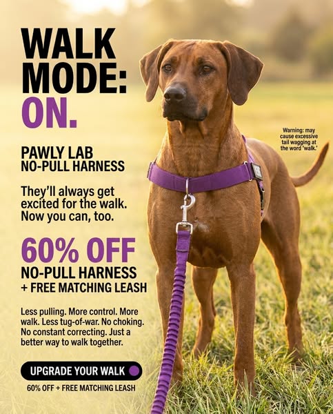 FREE LEASH TODAY