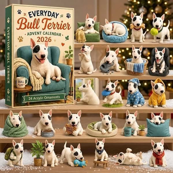 Das Creative dahinter: Everyday Bull Terrier Advent Calendar 2026 - 24-Day 2D Festive Countdown