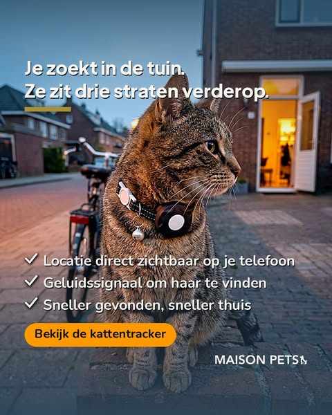 Stop met zoeken naar je kat. Kijk op je telefoon.