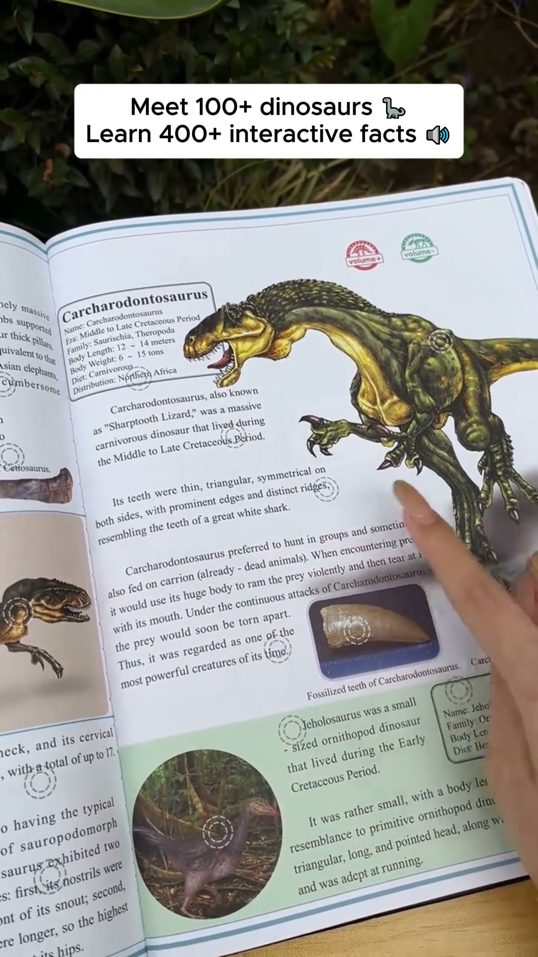 Interactive Dinosaur Book That Talks