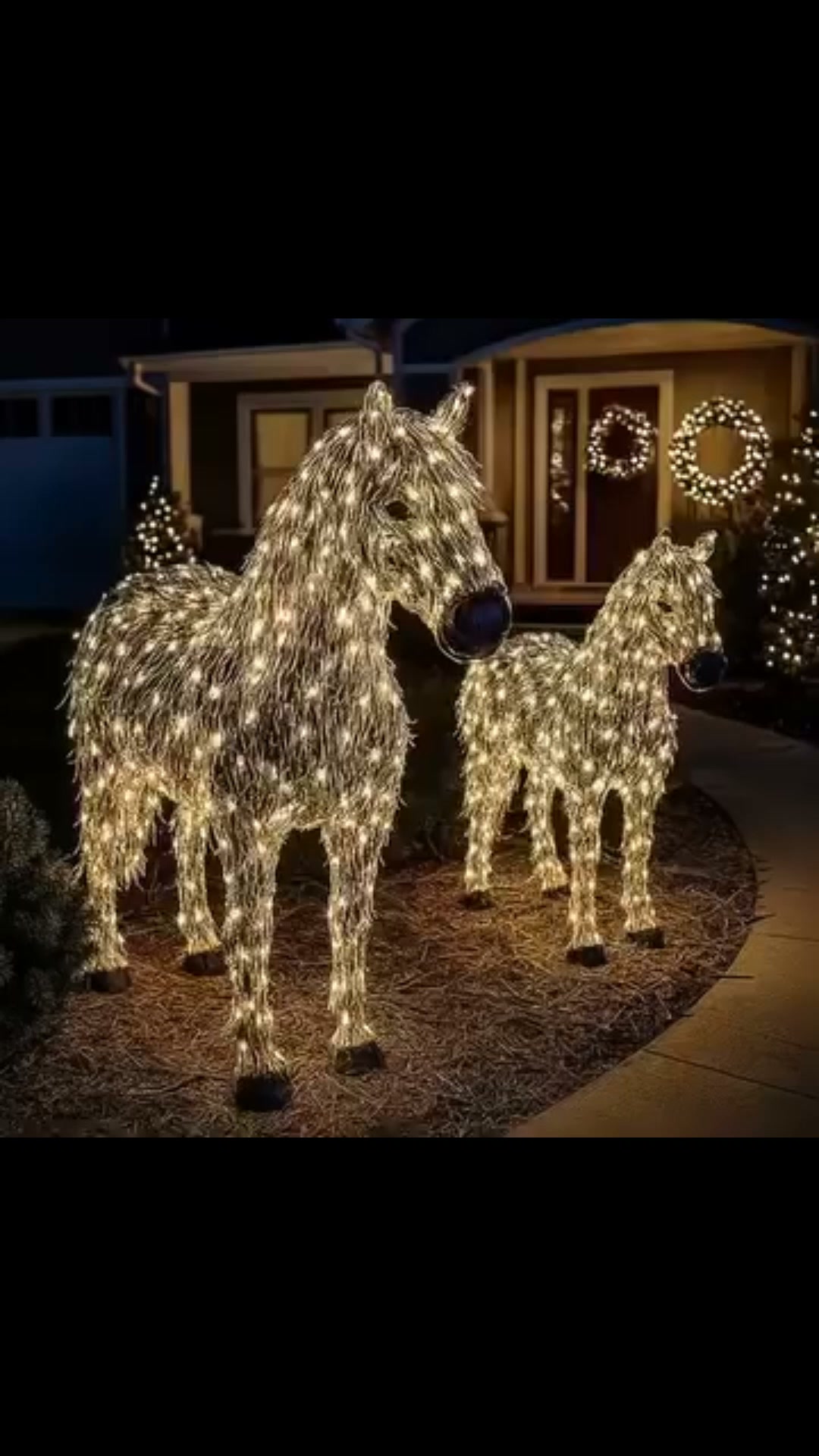 Lysande hästduo – en magisk julstämning hemma