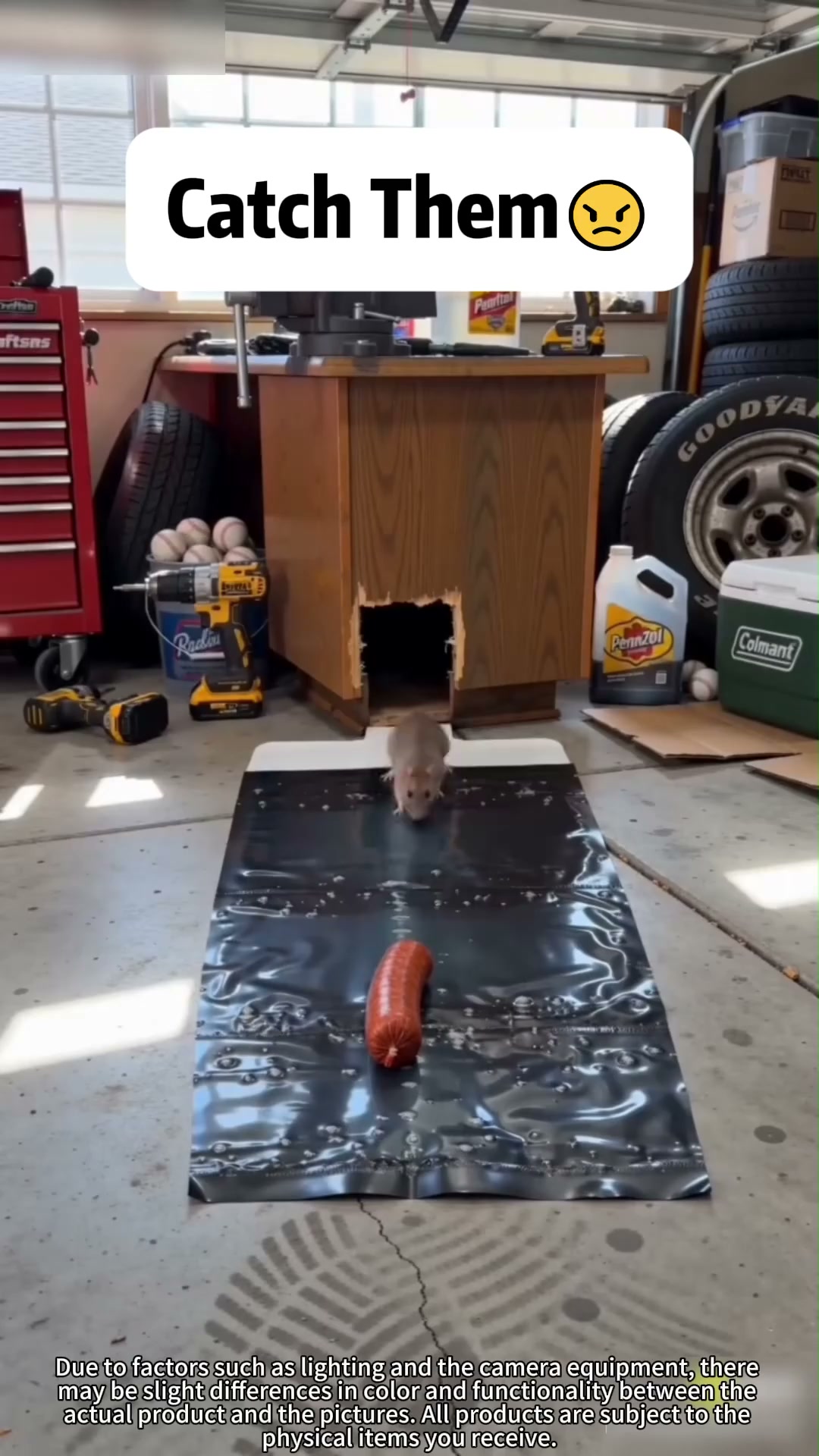The Mouse Trap That Works – Without Poison or Mess.