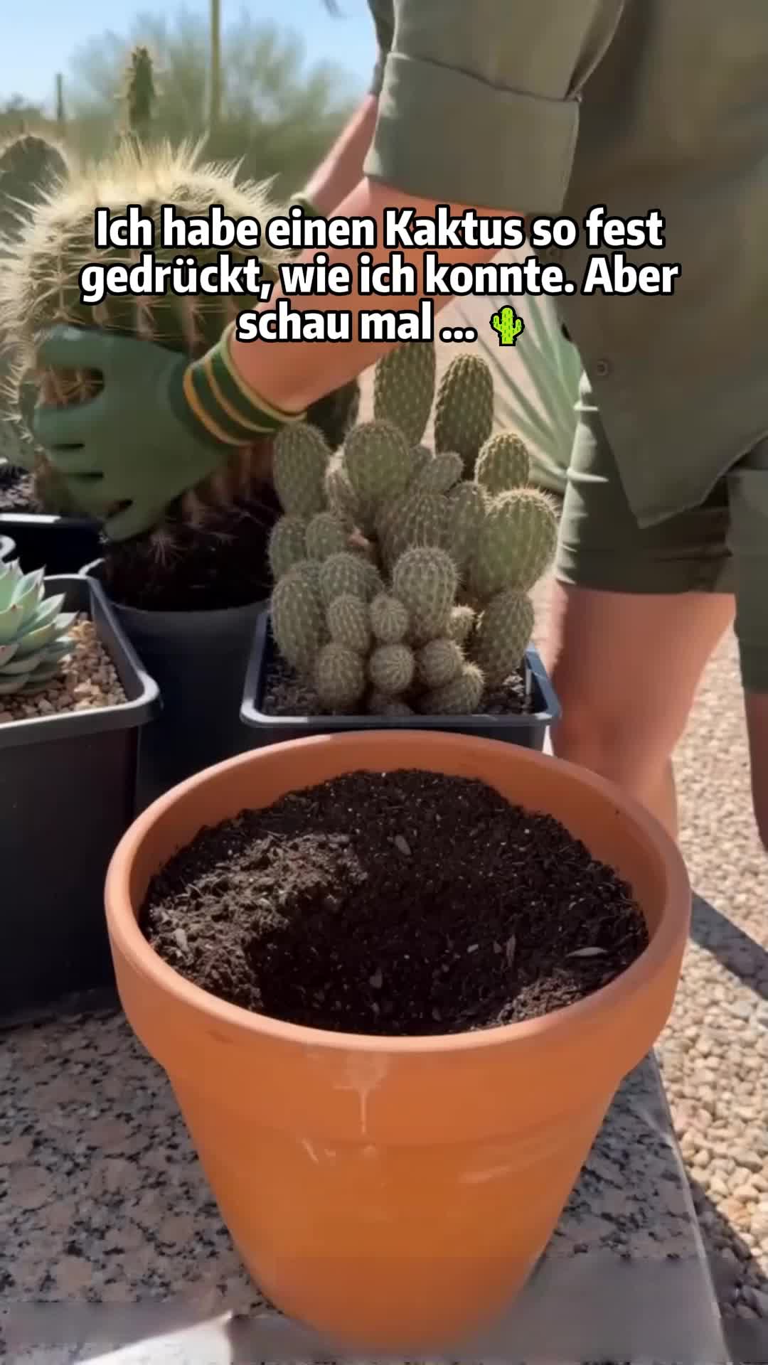 Sicher gärtnern ohne schmutzige Hände