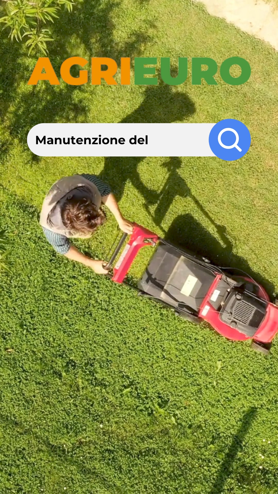 Taglio e manutenzione del giardino