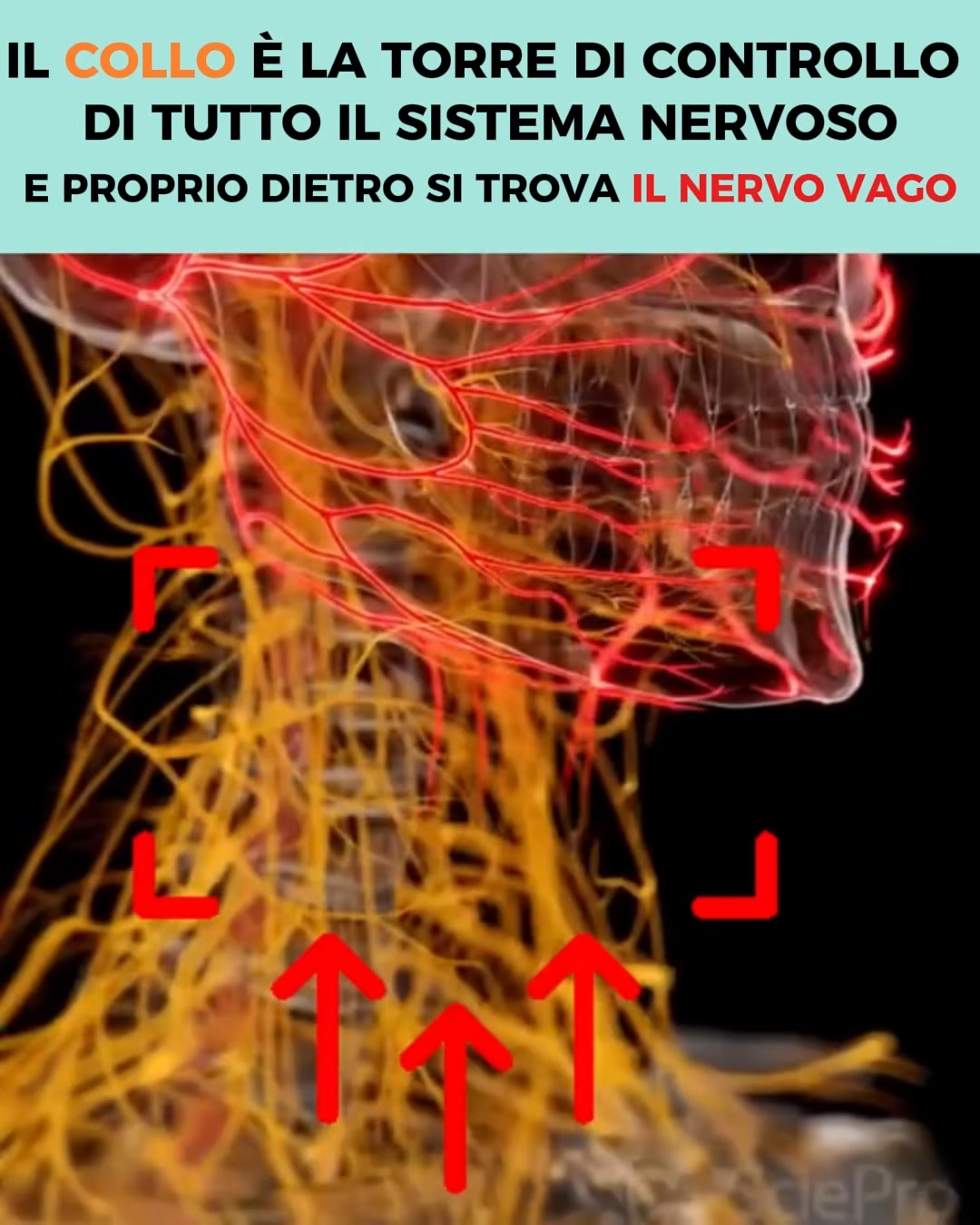 Inizia Lieve, Poi Peggiora