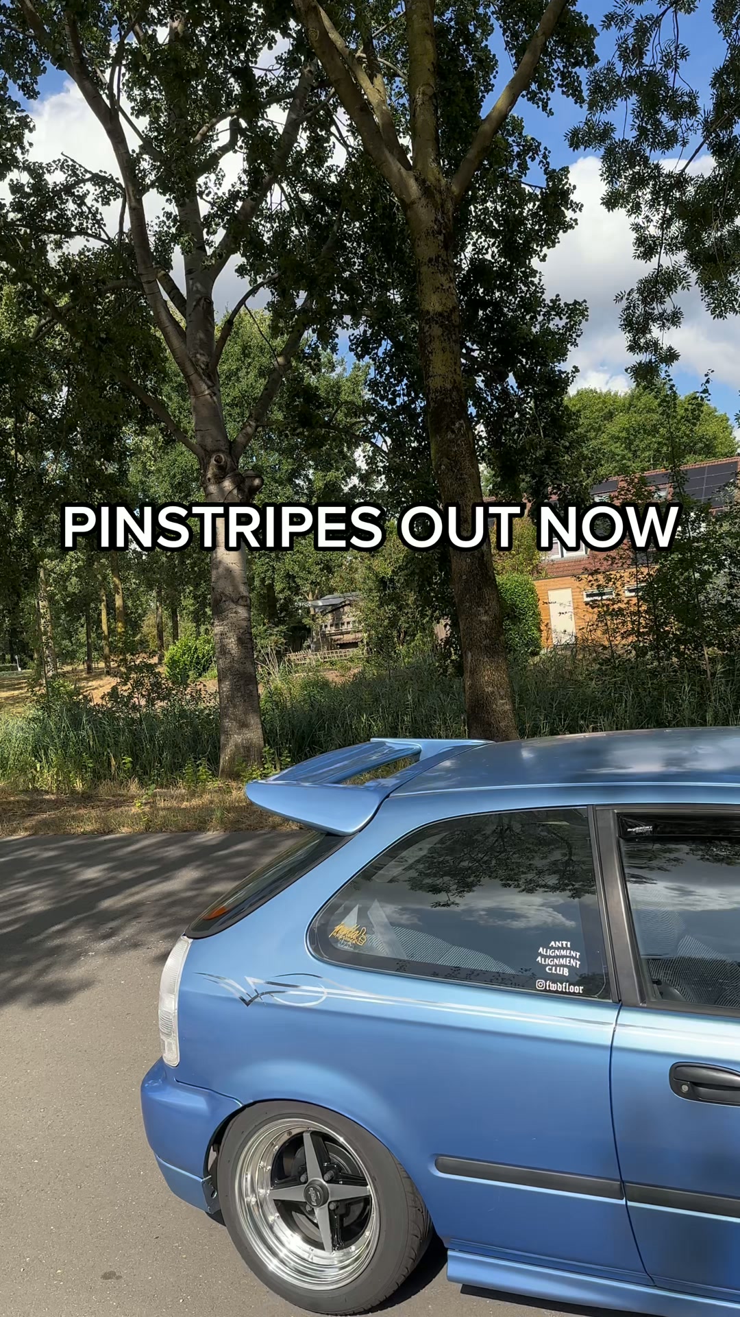 Vinyl Pinstripe