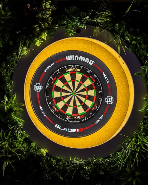 Level Up Your Venue with Dartsee