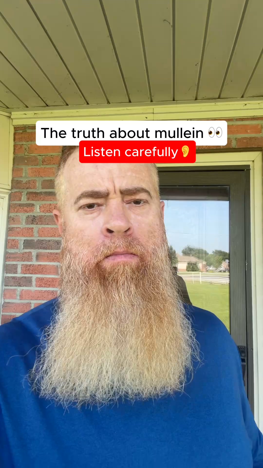 Exposing Mullein: The Truth Isn’t What You Think