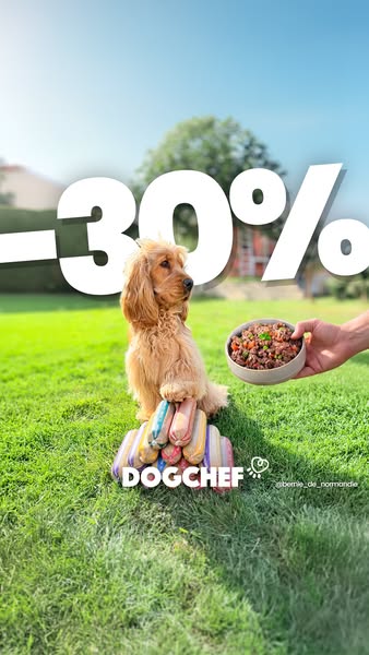 Offre limitée -30%