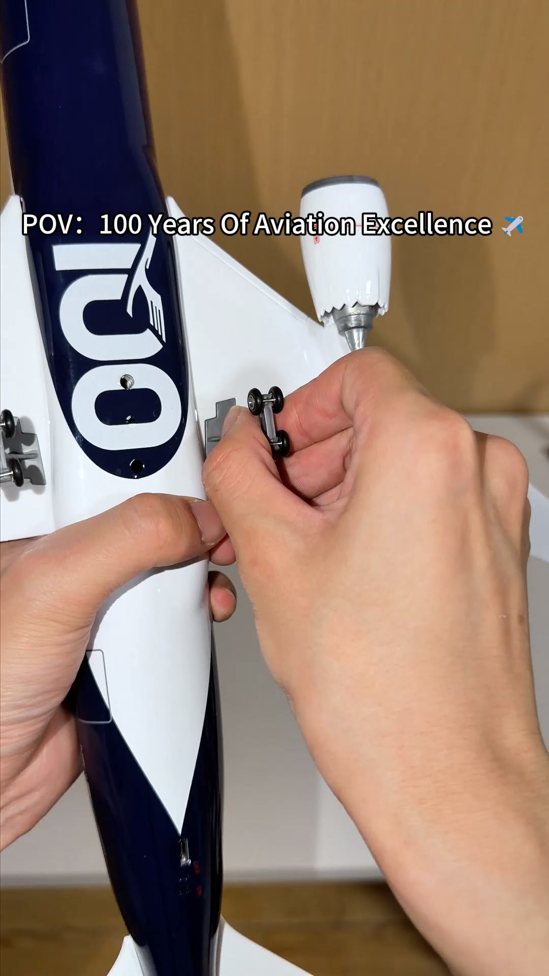 Geschenk für Lufthansa-Fans
