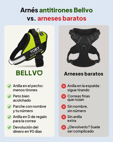50 % en el arnés Bellvo