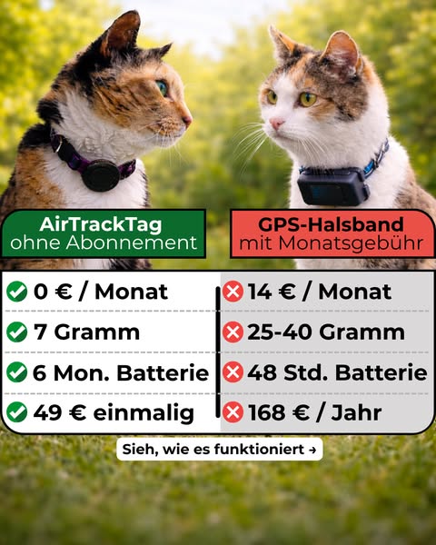 Tracke deine Katze – ohne Abo