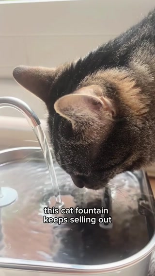 This Is A Must-Have For All Cat Parents!