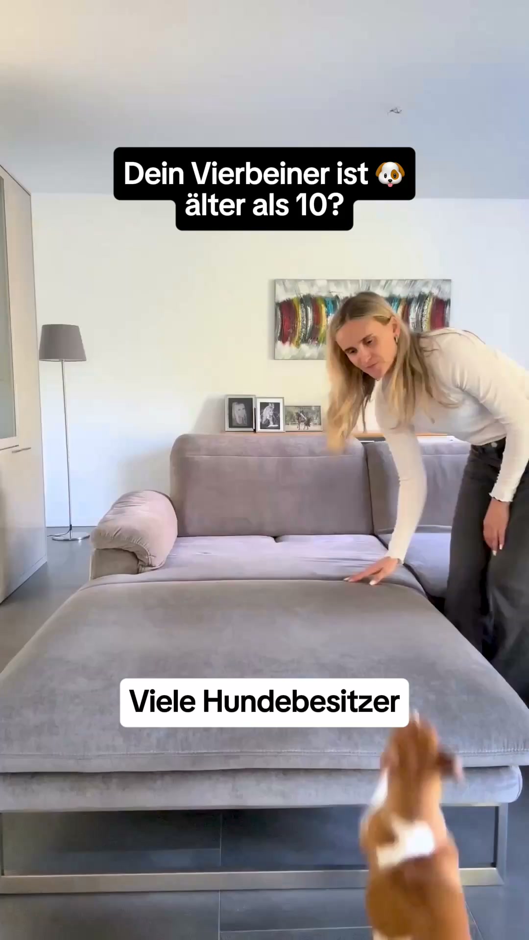 Von Tierärzten empfohlen