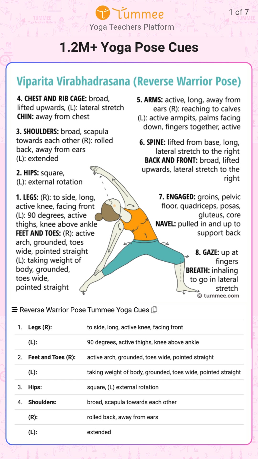 Access 1.2 Million+ Yoga Pose Cues at your fingertips.