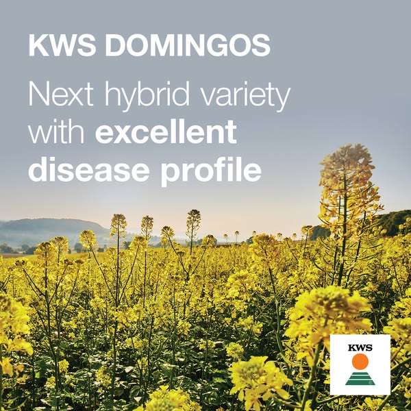 KWS Domingos