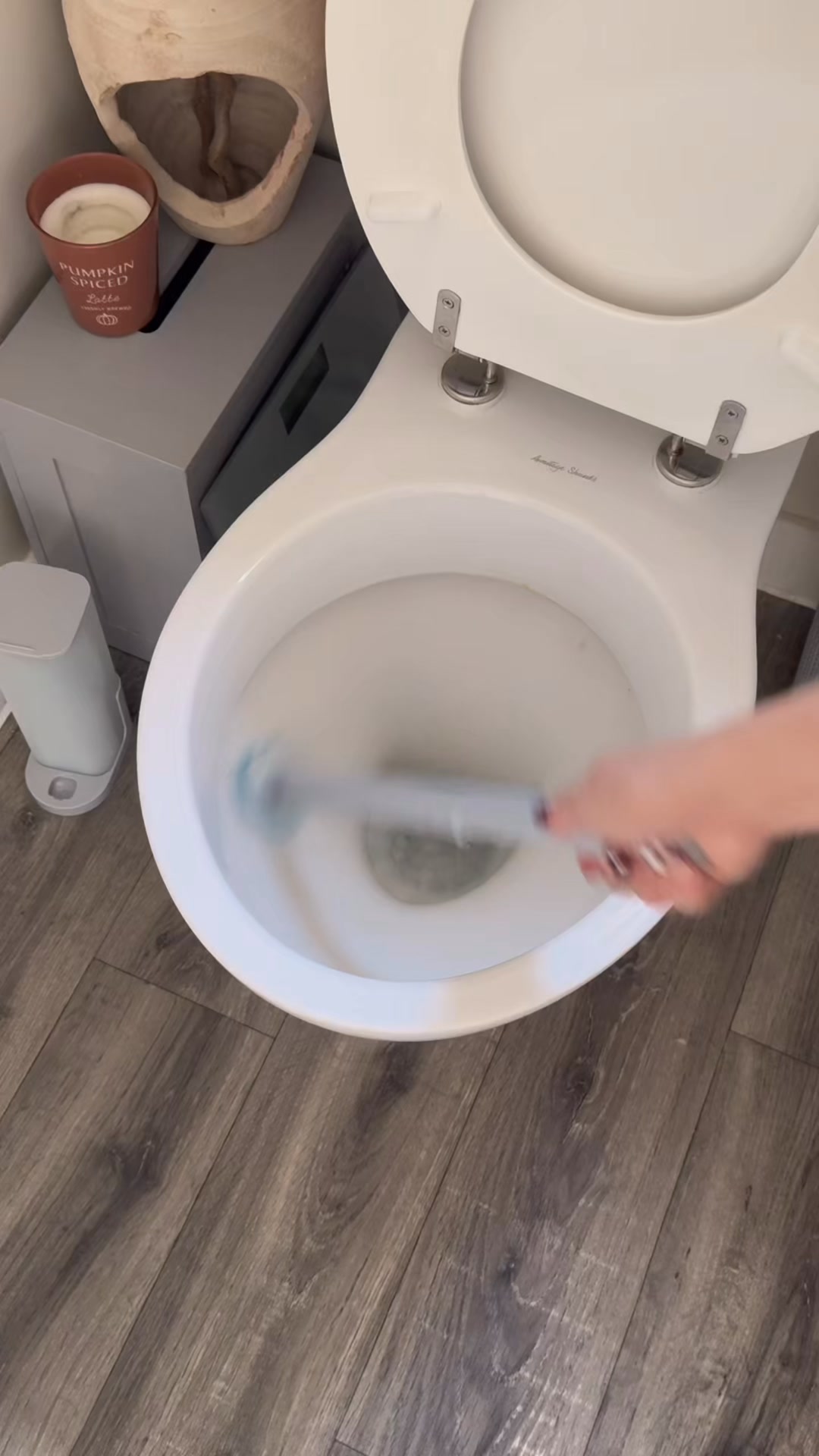 The ultra-hygienic way to clean your loo