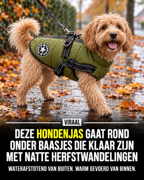 Bekijk Aanbieding