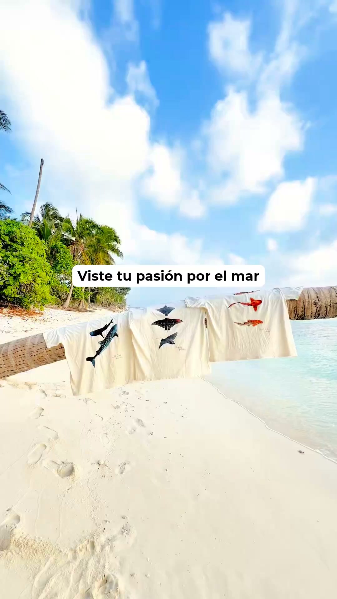 Lleva el océano contigo