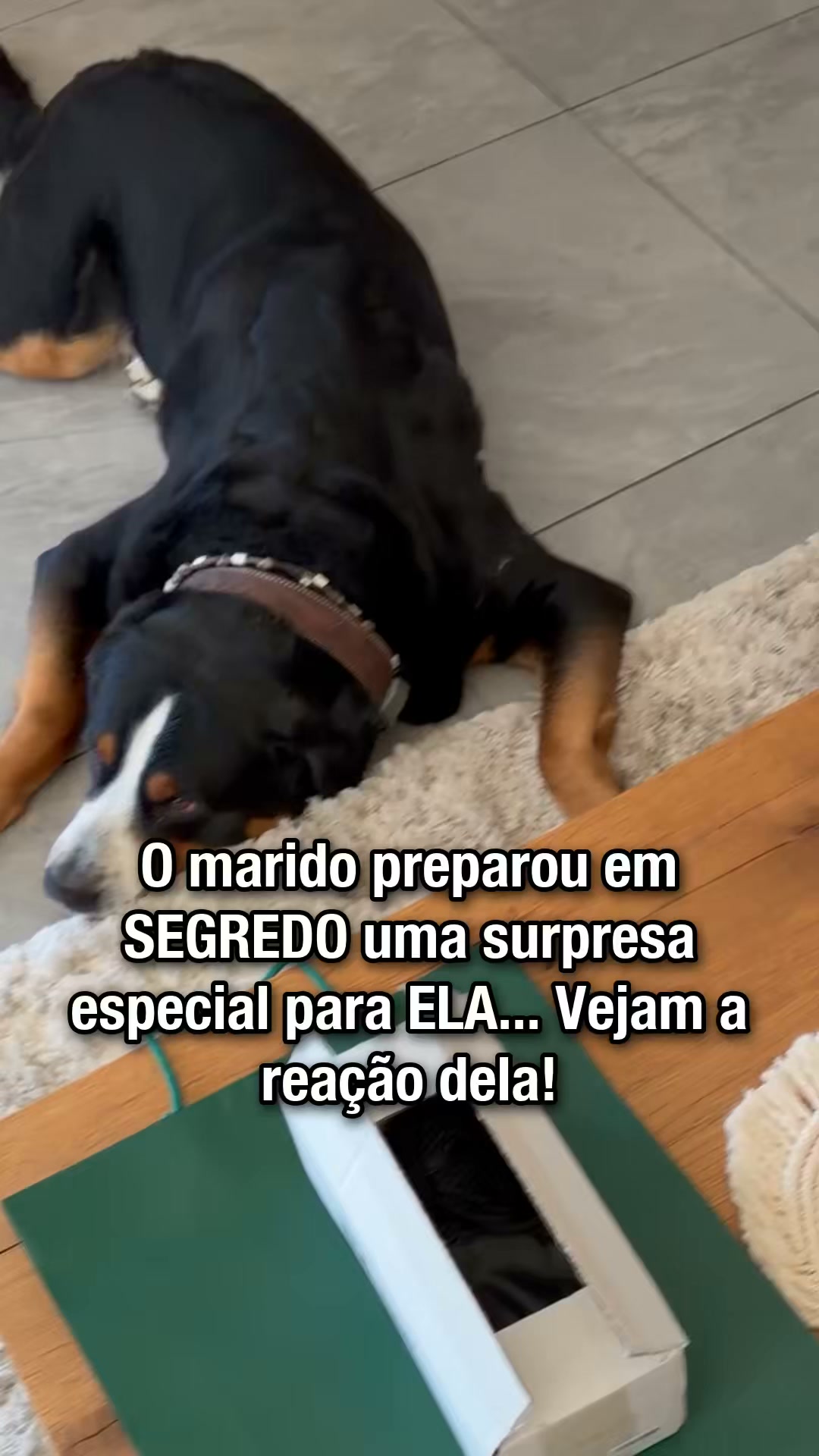 Amostra Grátis da Tua Música em 5 Minutos!
