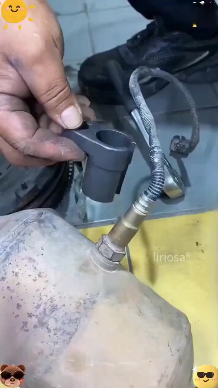 Anúncio de Liriosa