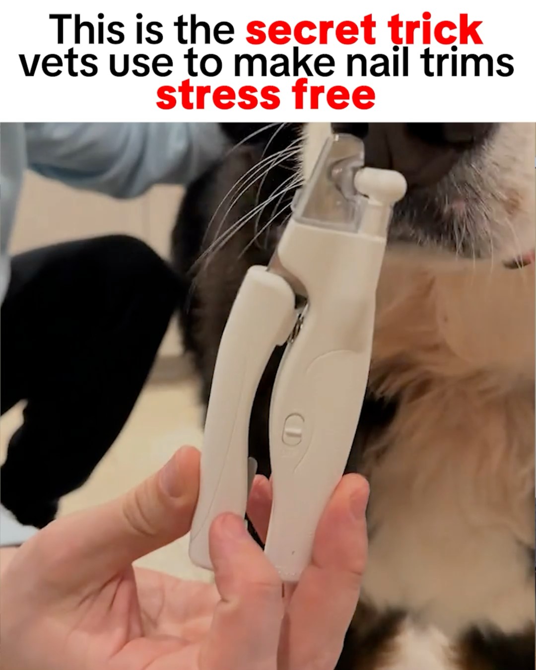 NailHero - See The Quick Before You Cut!
