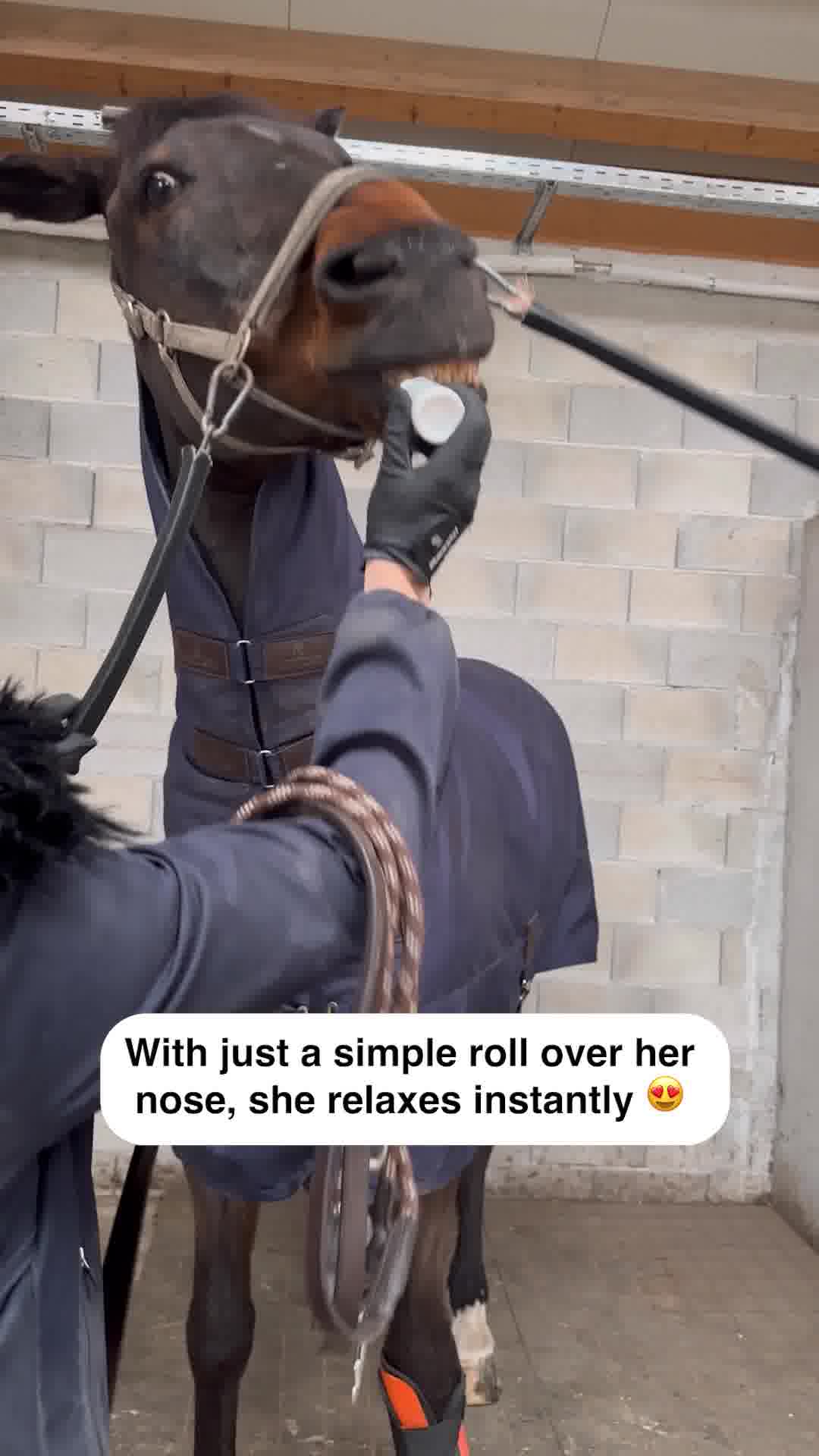 A calmer horse, a better ride