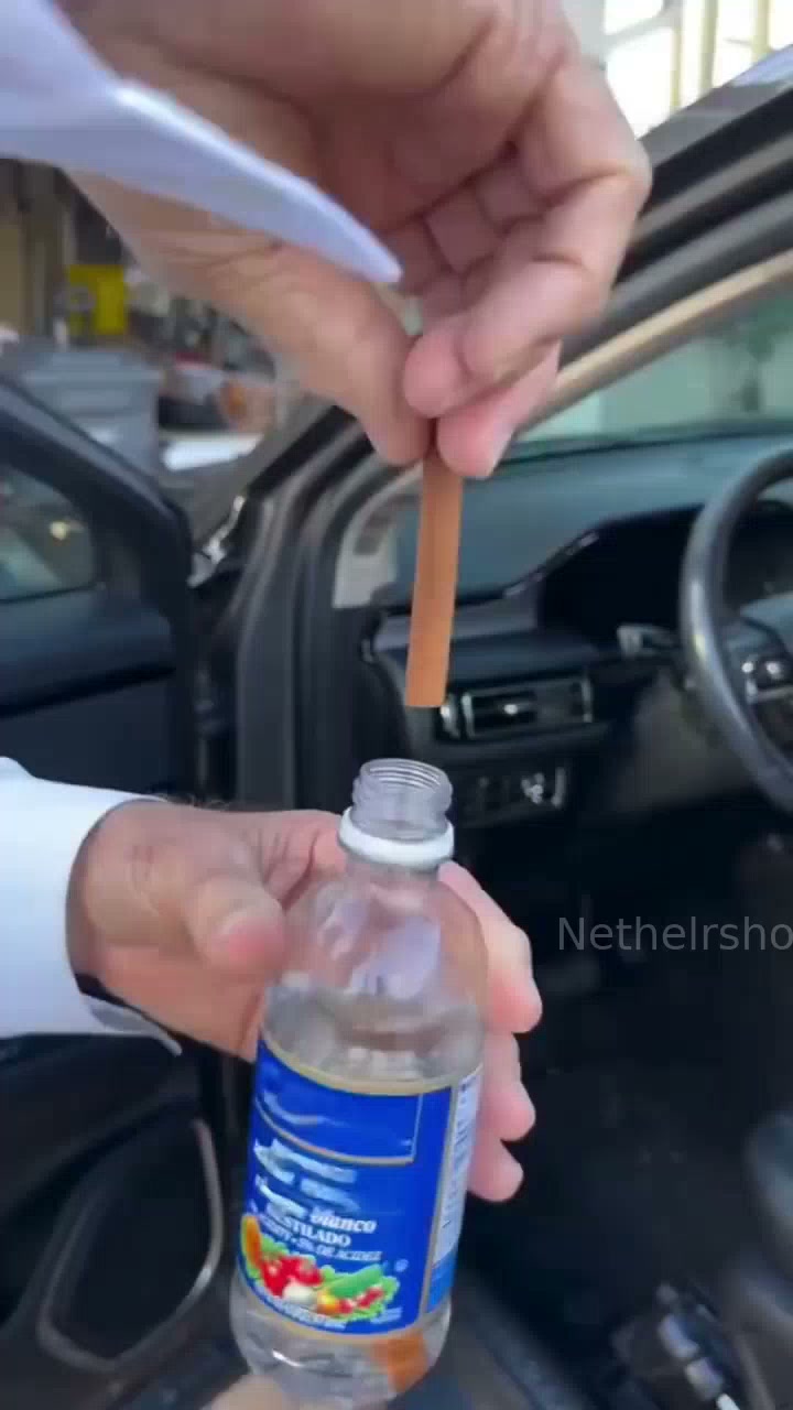 Netherlshop