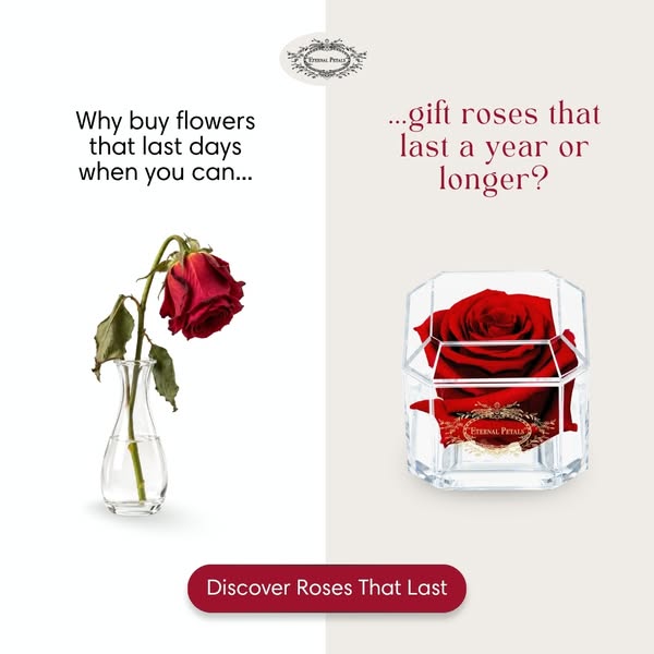 Roses That Last a Year or Longer