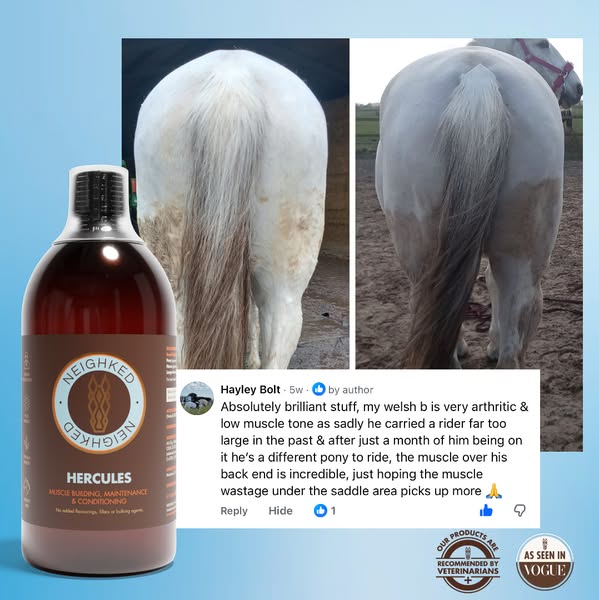 Rapid, Effective Muscle Support - Used by Vets