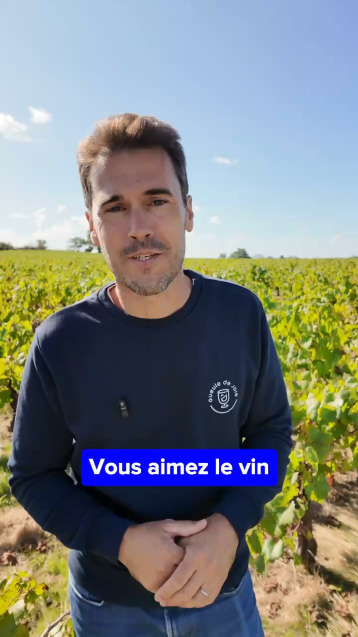 Foire aux Vins - Le meilleur du vin sans alcool !