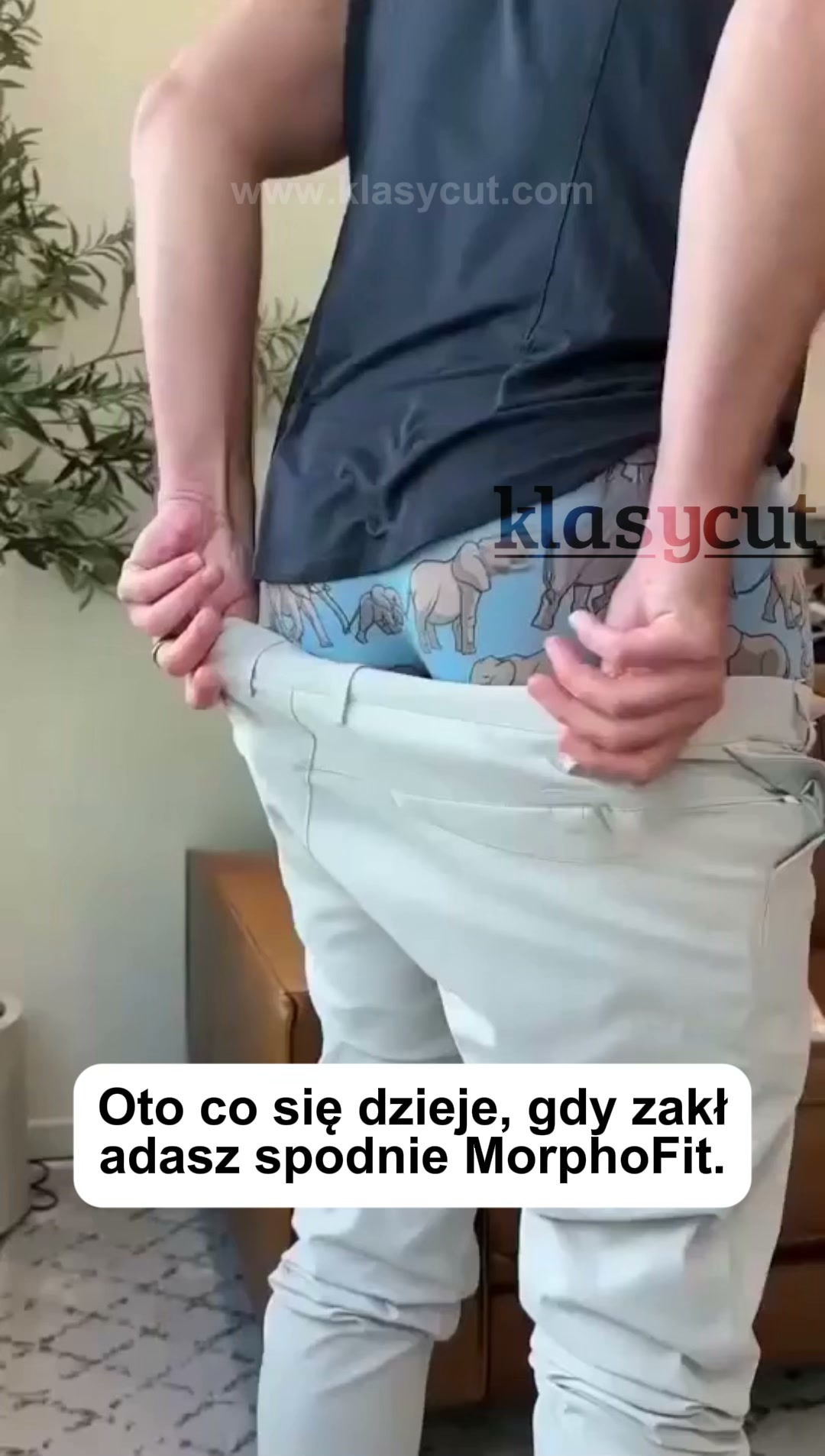 OFERTA PREMIEROWA