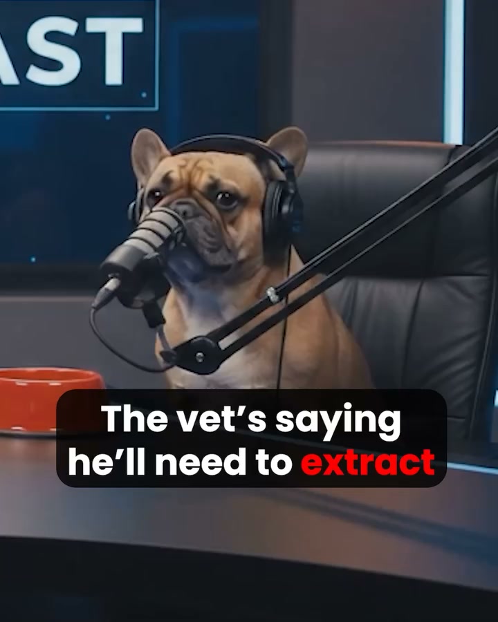 Do This to Eliminate Doggie Breath (Genius)