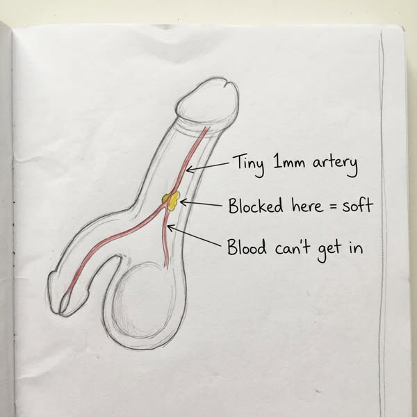 The Weight Loss Jab Killed My Erections