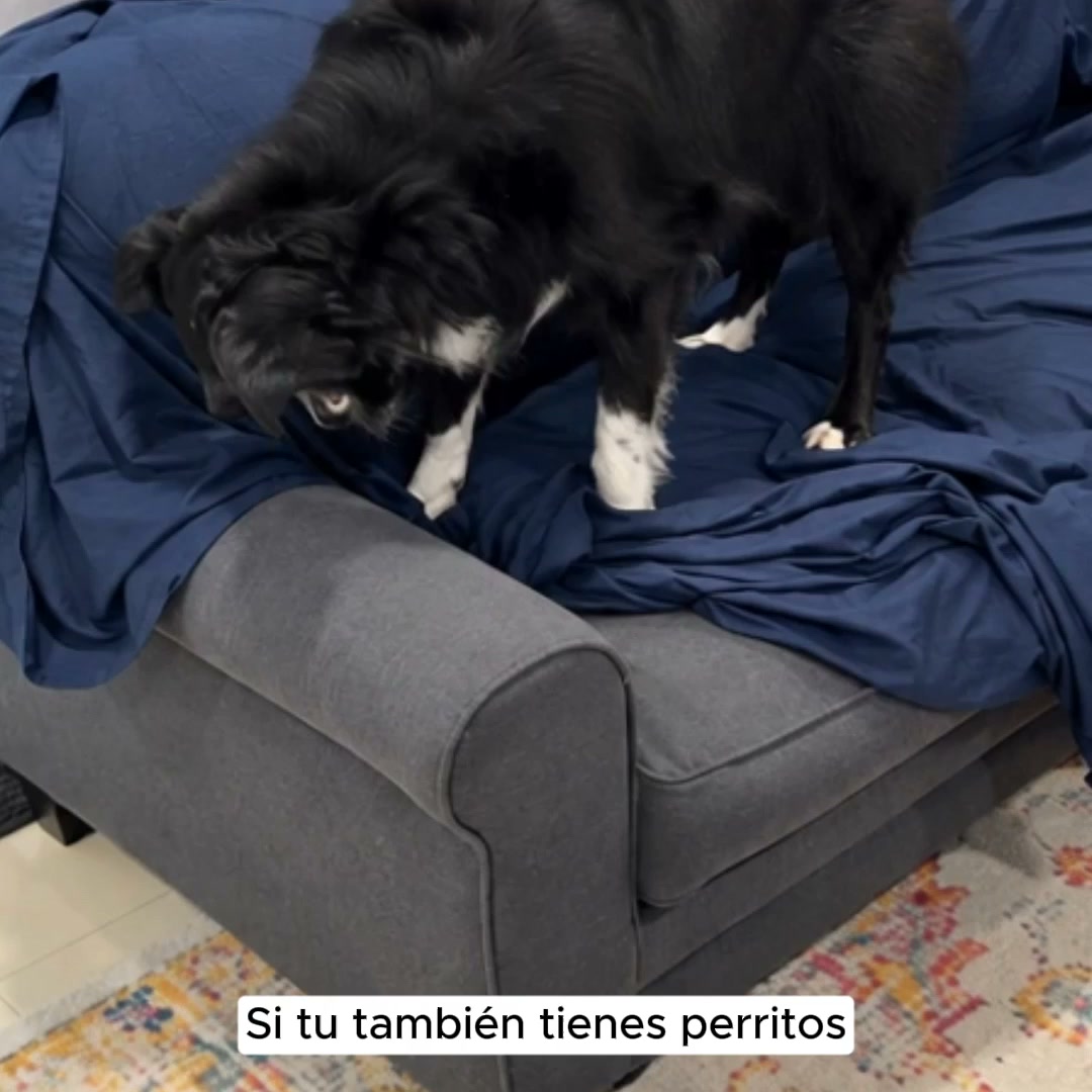 Funda para Sofá Neo