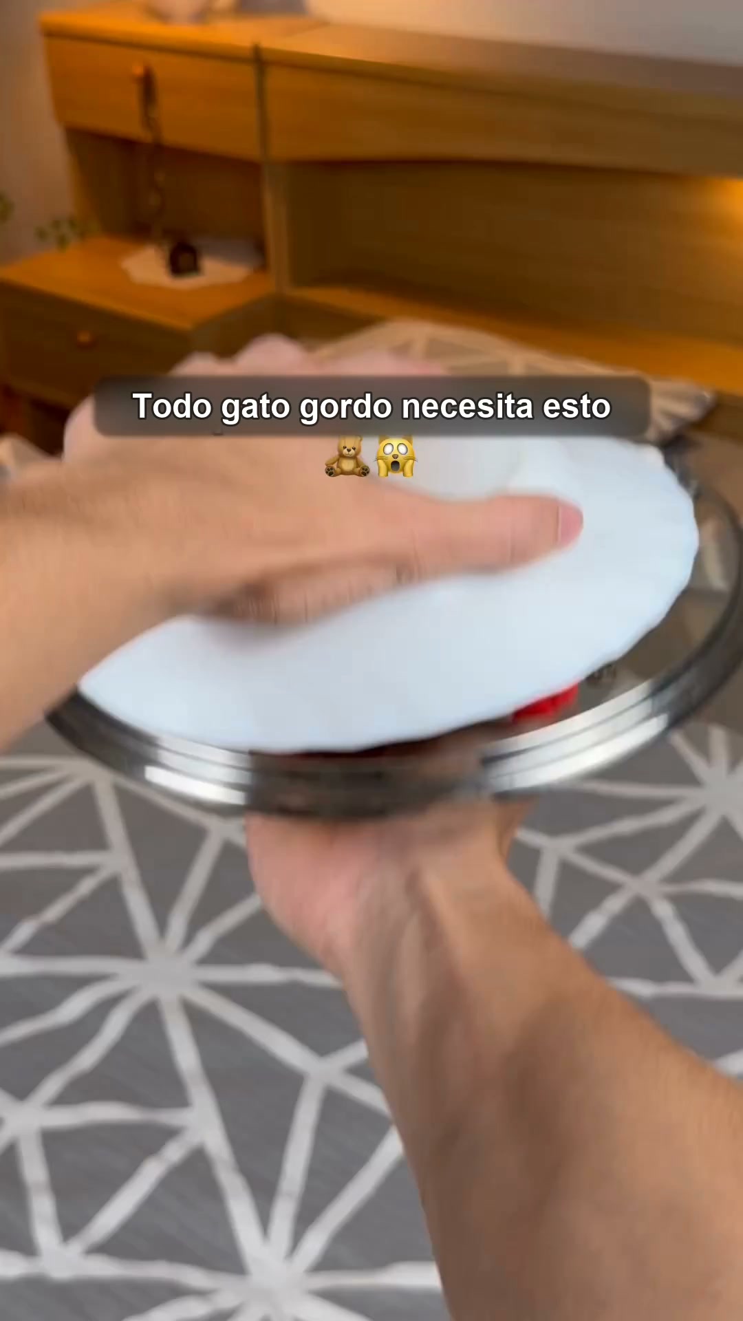 50% de descuento – tu gato no va a parar