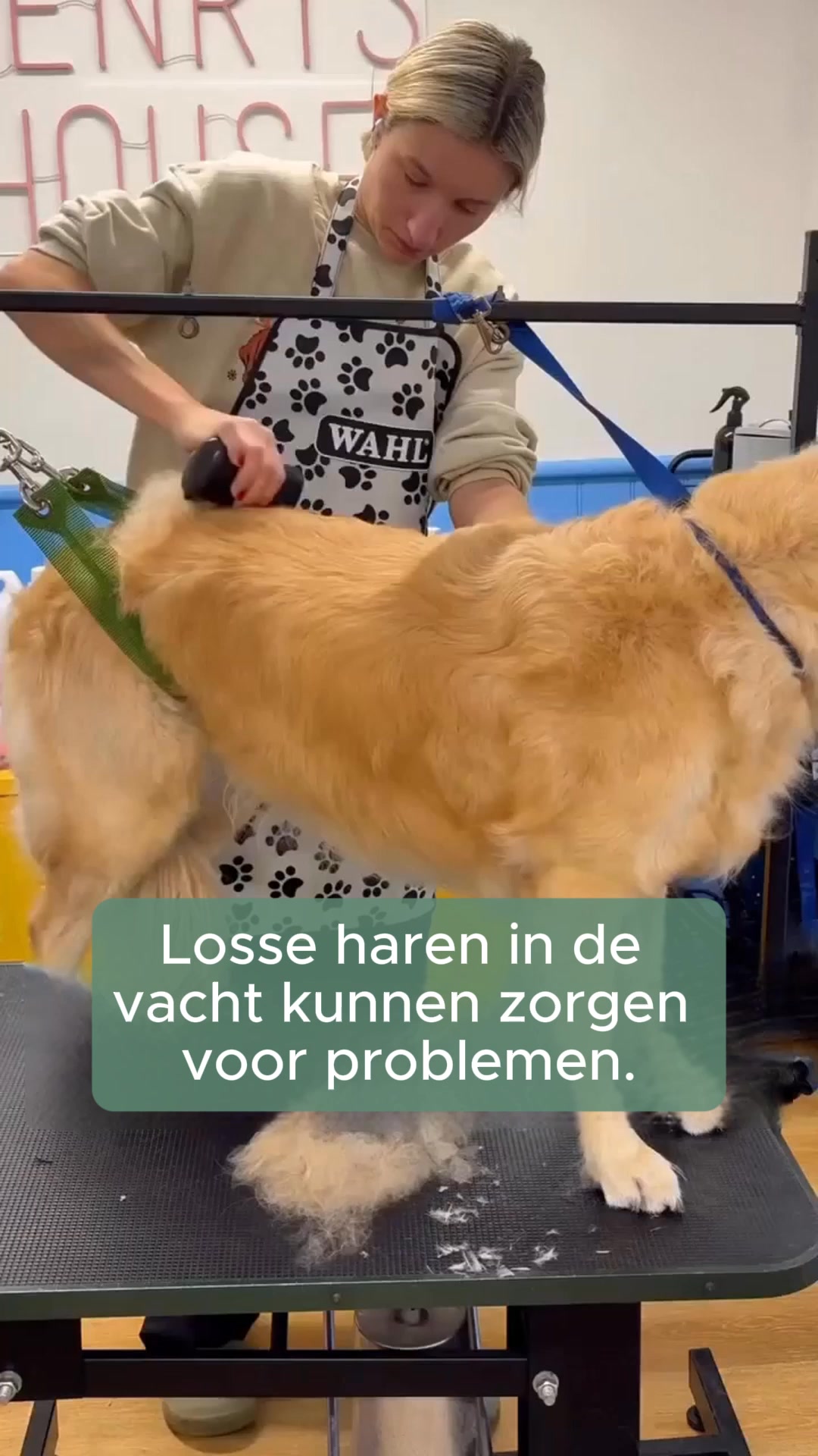 Wat 9 van de 10 borstels niet doen en GlowBrush™ wel.