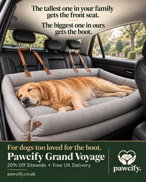 For dogs too loved for the boot