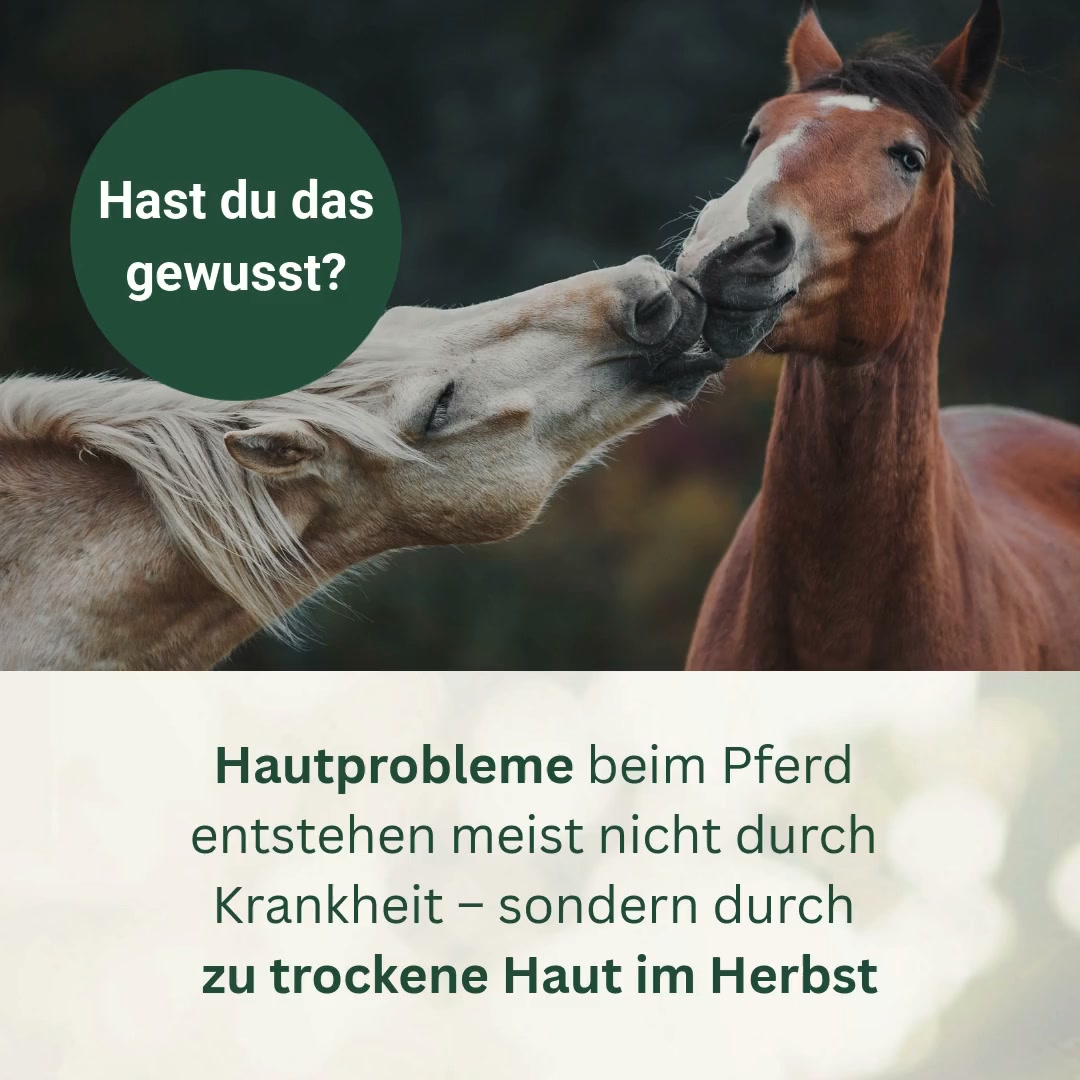 Trockene Pferdehaut im Herbst?