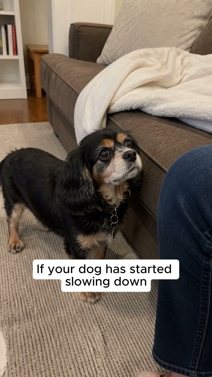 Help Them Move Again