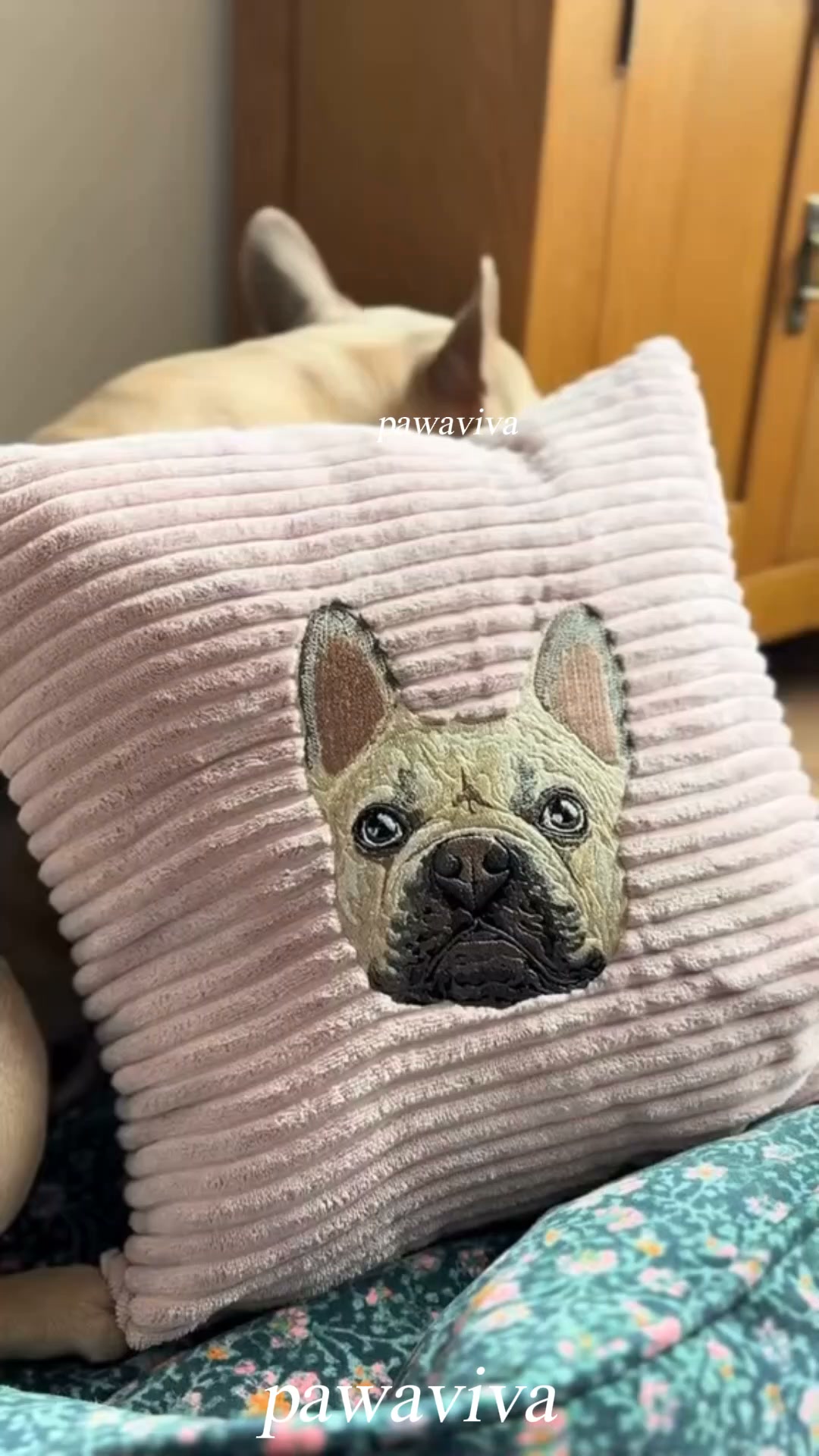 Cuddle Up with Your Pet