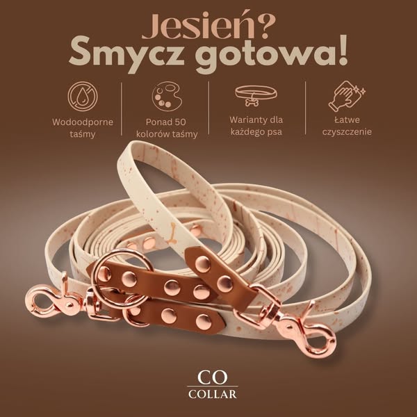 Smycz gotowa na jesień