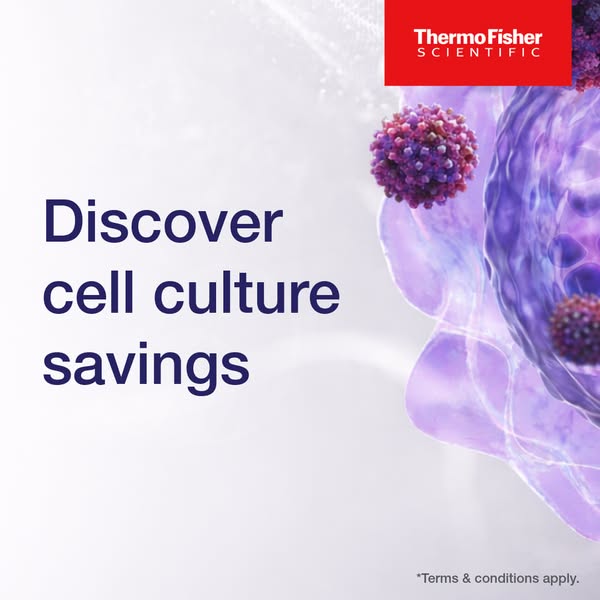 Save today! Limited time offer.