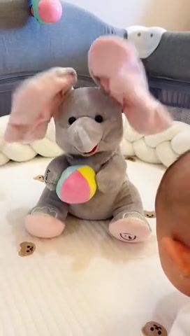 Peek-a-Boo Elephant: 50% OFF NOW!