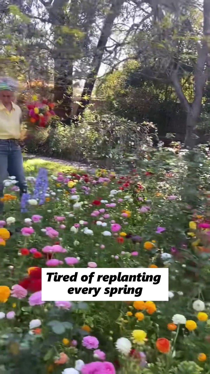 Shop Now & Create a Floral Paradise in Your Backyard!