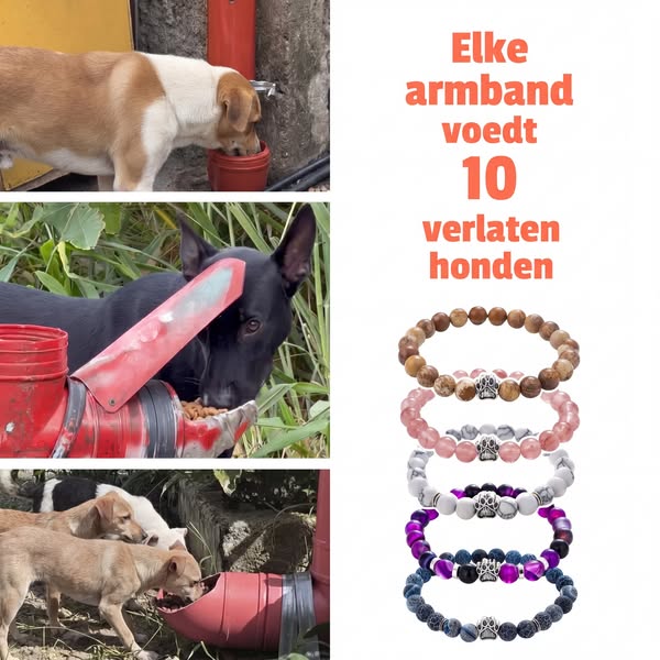 Elke dag vechten ze voor hun volgende maaltijd...