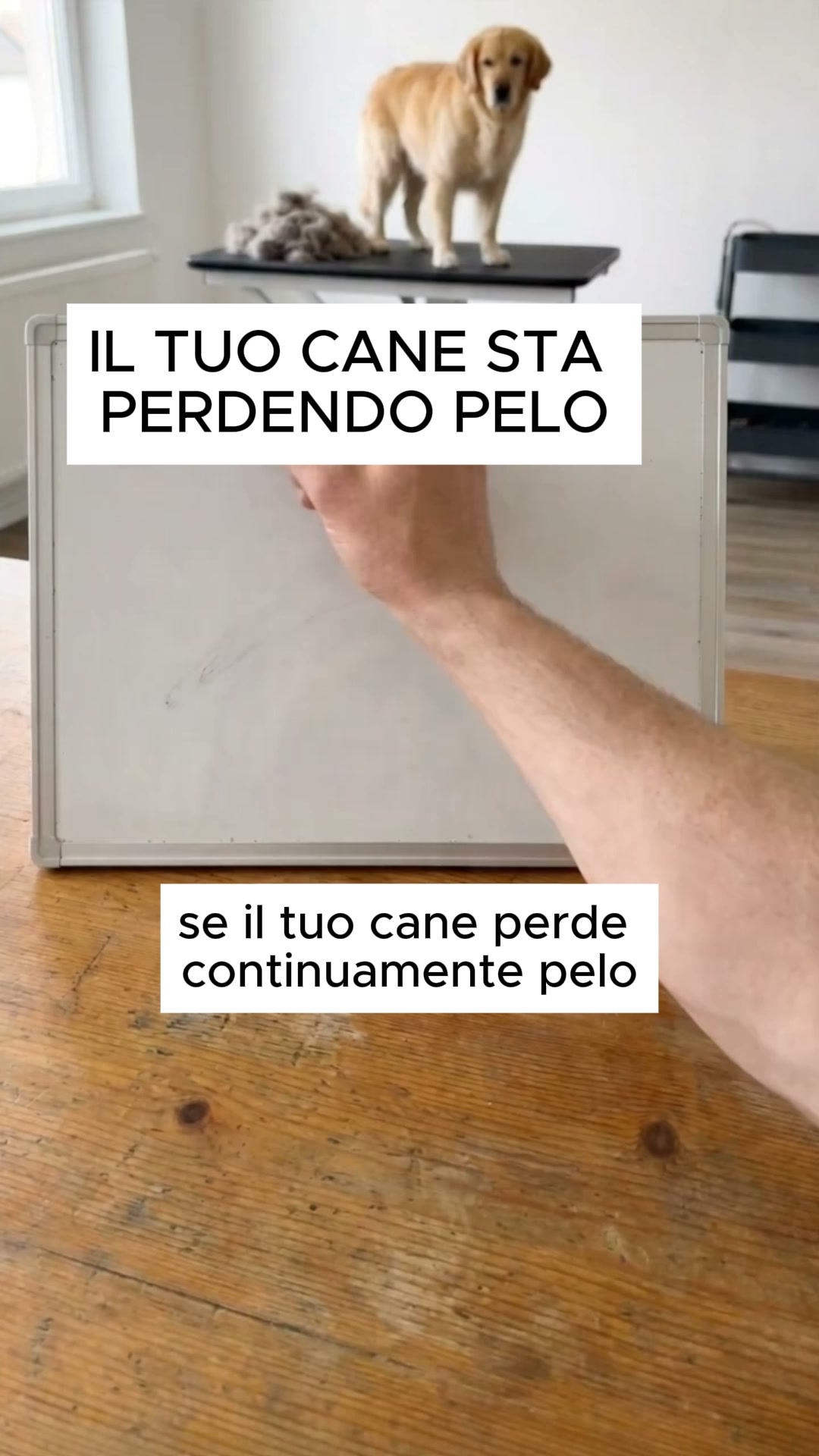 Addio Nodi e Pelo Ovunque
