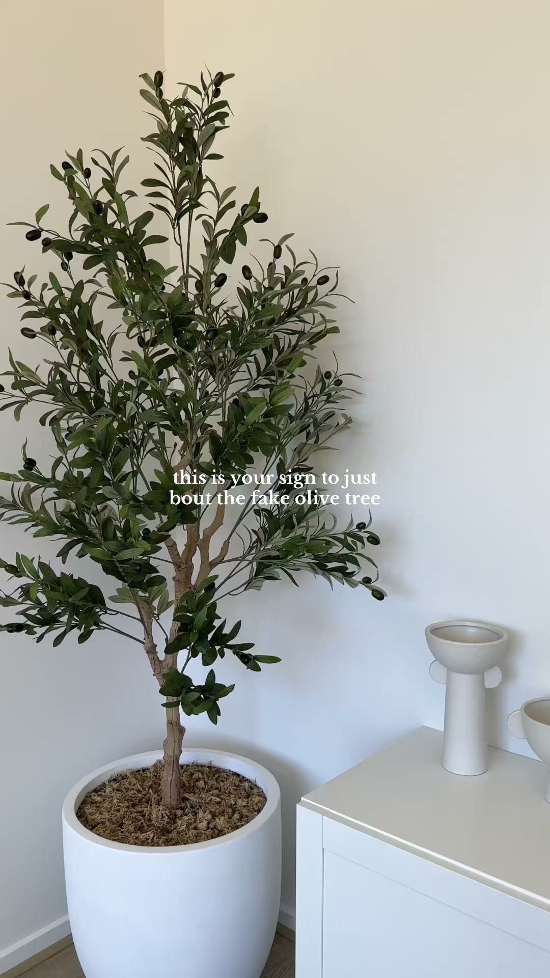 Get 50% Off + Free Shipping