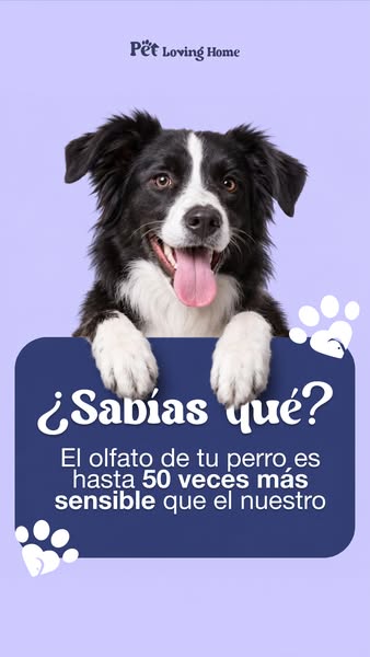 Elimina malos olores de raíz